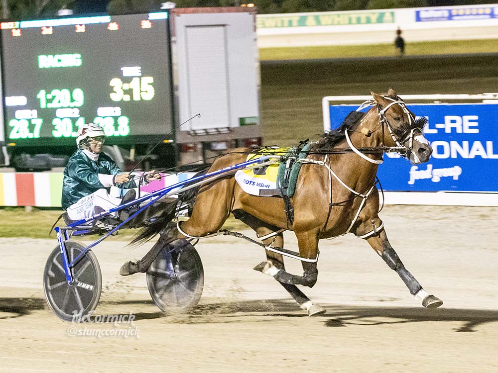 Persistence pays as Kiwi looks set to be 'That' horse this summer